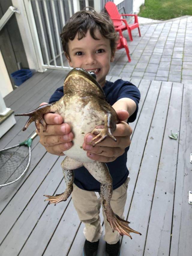 daily picdump weekend edition 74 pics 3.html - 74 HD Photos | Premium Gallery 2018