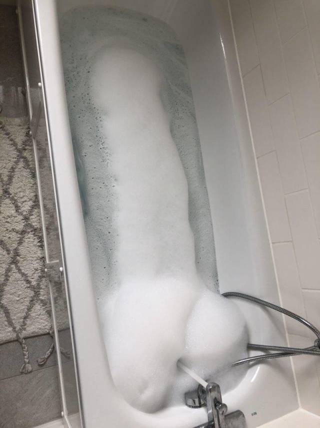 daily picdump weekend edition 74 pics 3.html - 74 HD Photos | Premium Gallery 2018