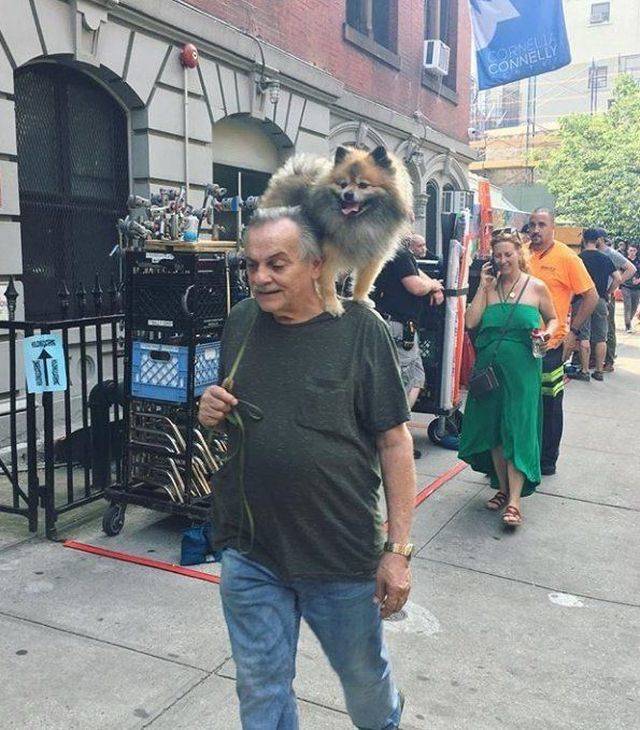 daily picdump weekend edition 74 pics 3.html - 74 HD Photos | Premium Gallery 2018