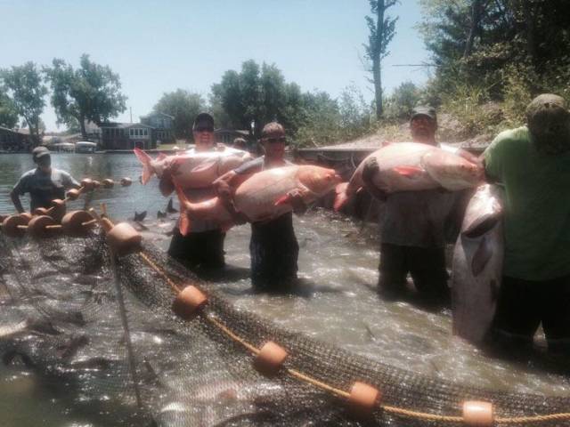 daily picdump 97 pics 11.html - 97 HD Photos | Premium Gallery 2018