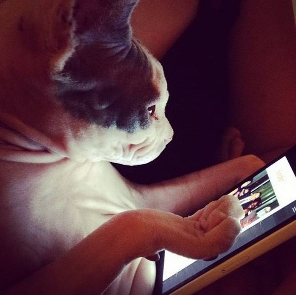 daily picdump 97 pics 11.html - 97 HD Photos | Premium Gallery 2018