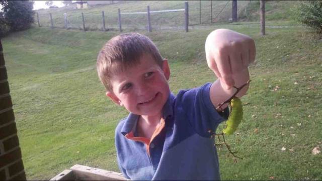 daily picdump 97 pics 11.html - 97 HD Photos | Premium Gallery 2018