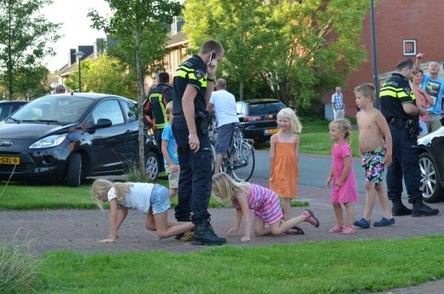 daily picdump 97 pics 11.html - 97 HD Photos | Premium Gallery 2018