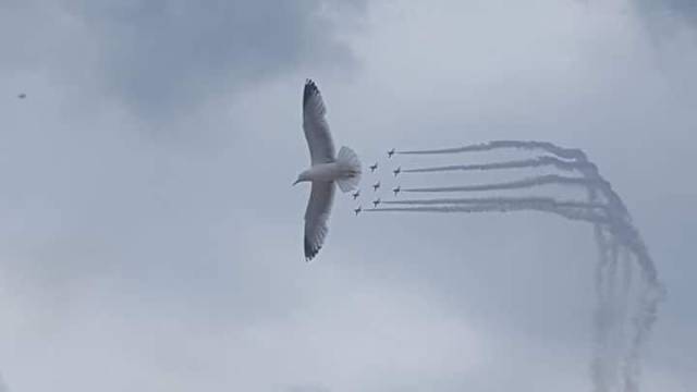 daily picdump 97 pics 11.html - 97 HD Photos | Premium Gallery 2018