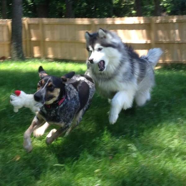 daily picdump 97 pics 11.html - 97 HD Photos | Premium Gallery 2018