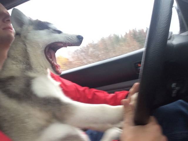 daily picdump 97 pics 11.html - 97 HD Photos | Premium Gallery 2018