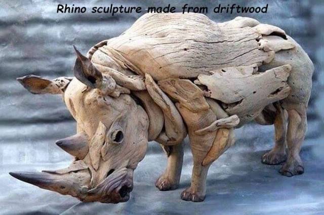 daily picdump 97 pics 11.html - 97 HD Photos | Premium Gallery 2018