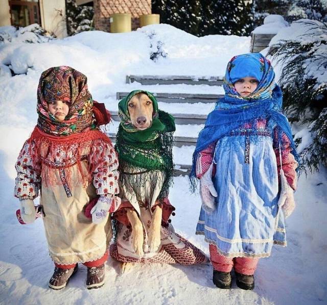 daily picdump 97 pics 11.html - 97 HD Photos | Premium Gallery 2018