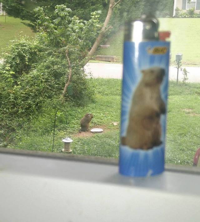 daily picdump 97 pics 11.html - 97 HD Photos | Premium Gallery 2018