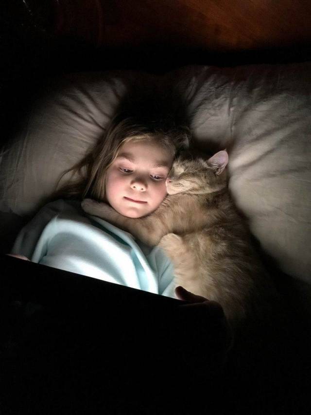 daily picdump 97 pics 11.html - 97 HD Photos | Premium Gallery 2018