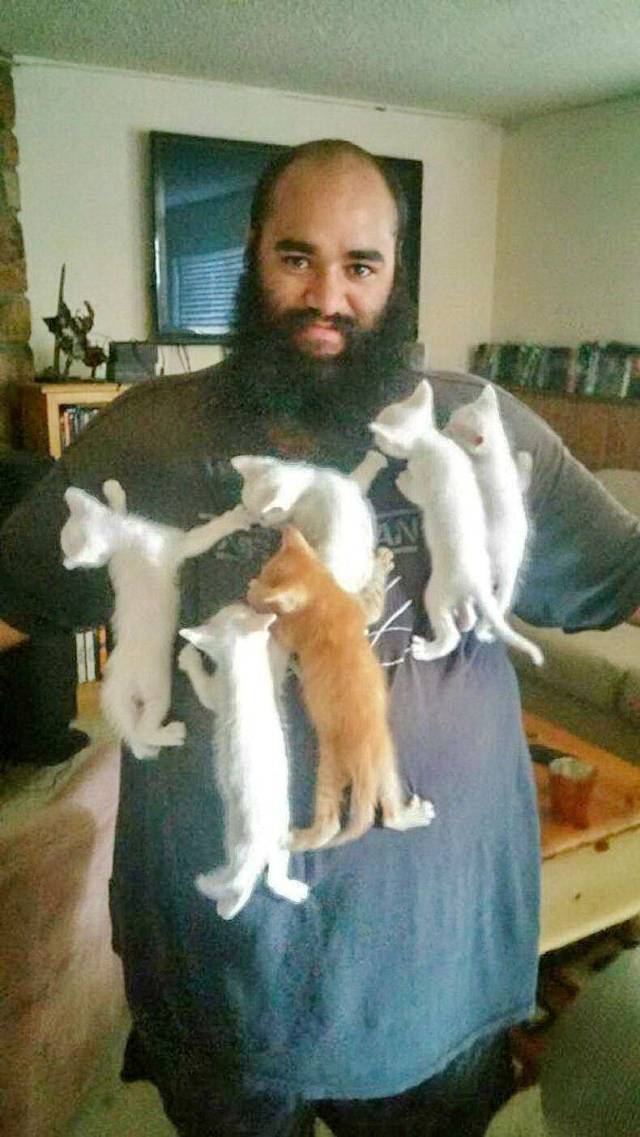 daily picdump 97 pics 11.html - 97 HD Photos | Premium Gallery 2018