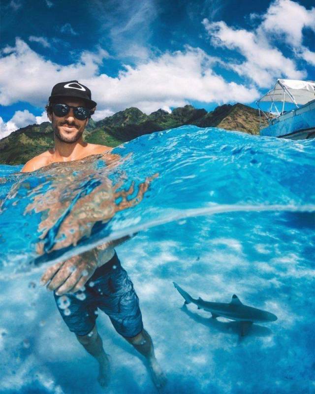 daily picdump 97 pics 11.html - 97 HD Photos | Premium Gallery 2018