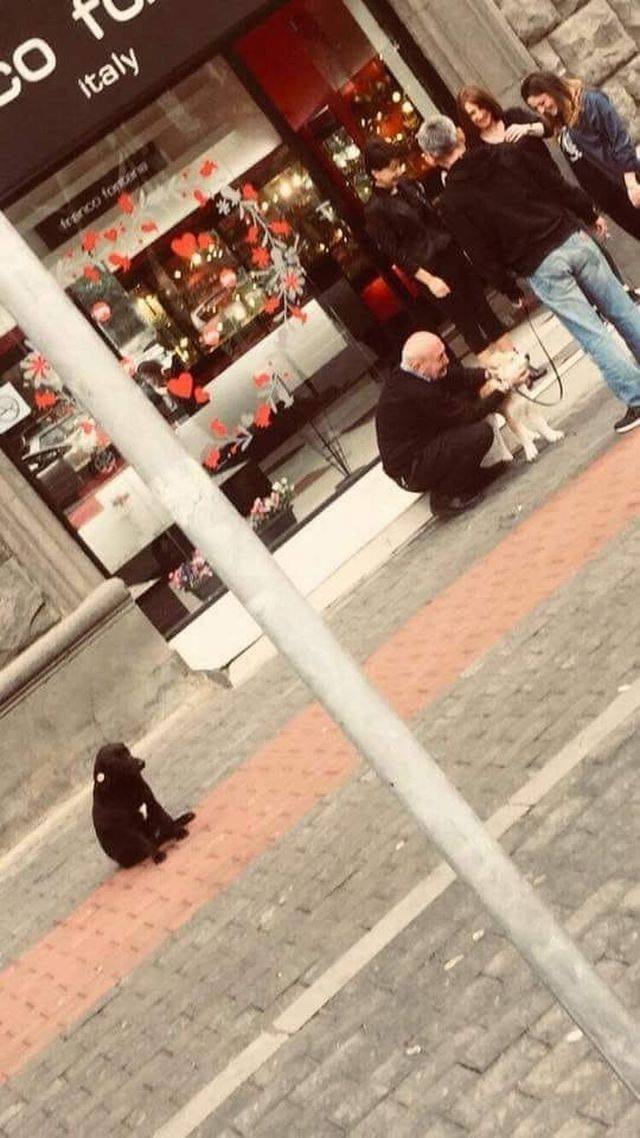 daily picdump 97 pics 11.html - 97 HD Photos | Premium Gallery 2018