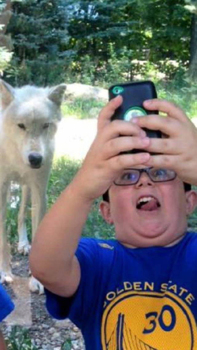 daily picdump 97 pics 11.html - 97 HD Photos | Premium Gallery 2018