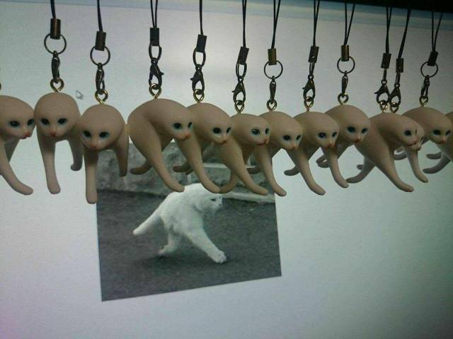 Hard-to-explain WTF Photos