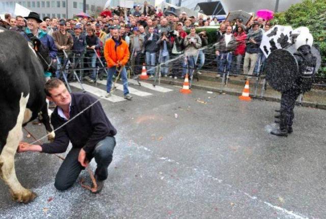 Hard-to-explain WTF Photos