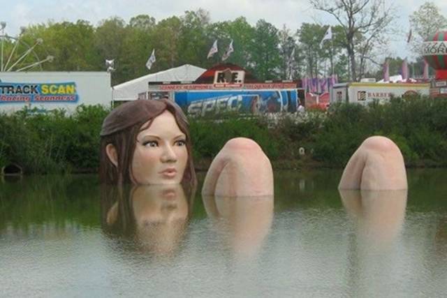 Hard-to-explain WTF Photos