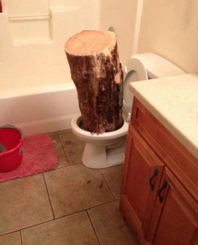 Hard-to-explain WTF Photos