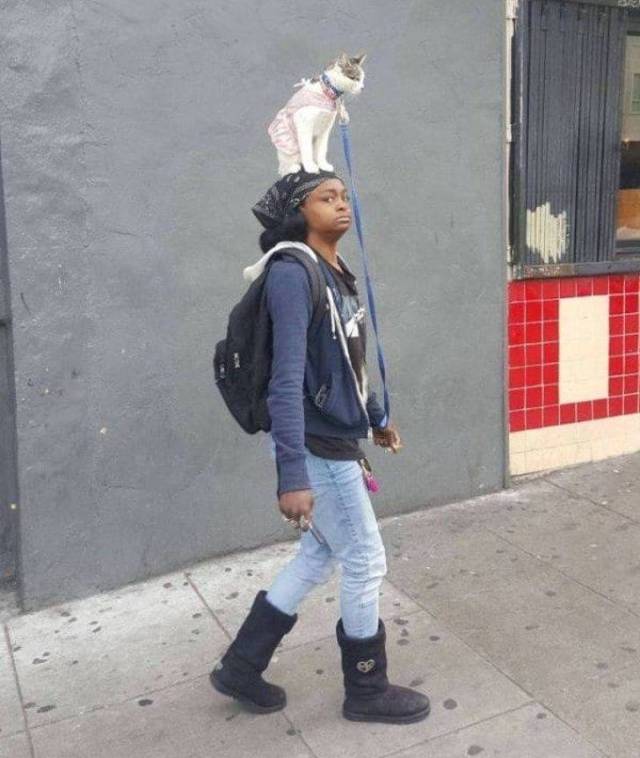 Hard-to-explain WTF Photos