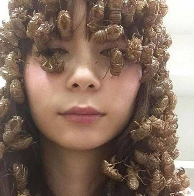 Hard-to-explain WTF Photos