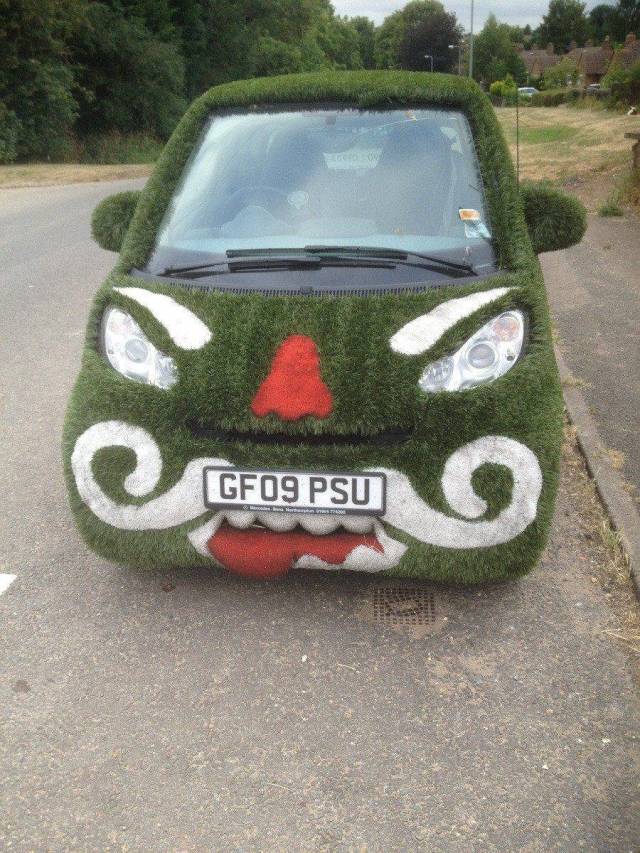 Hard-to-explain WTF Photos