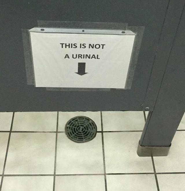 Hard-to-explain WTF Photos