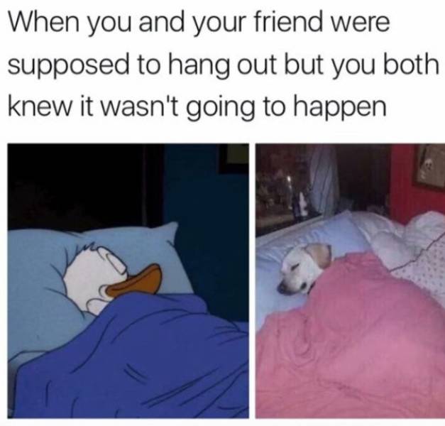 Staying In Is Always Better, We All Know It