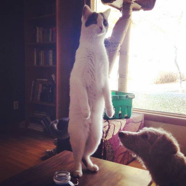 daily picdump 94 pics 2.html - 94 HD Photos | Premium Gallery 2018