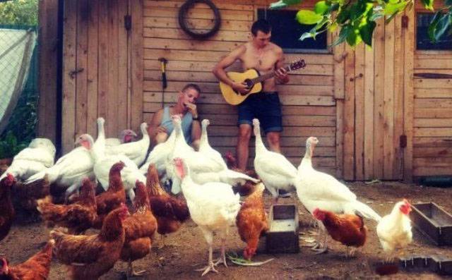 daily picdump 94 pics 2.html - 94 HD Photos | Premium Gallery 2018