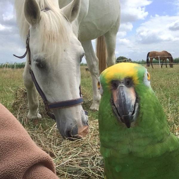 daily picdump 94 pics 2.html - 94 HD Photos | Premium Gallery 2018