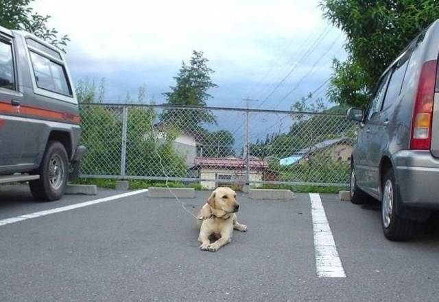 daily picdump 94 pics 2.html - 94 HD Photos | Premium Gallery 2018