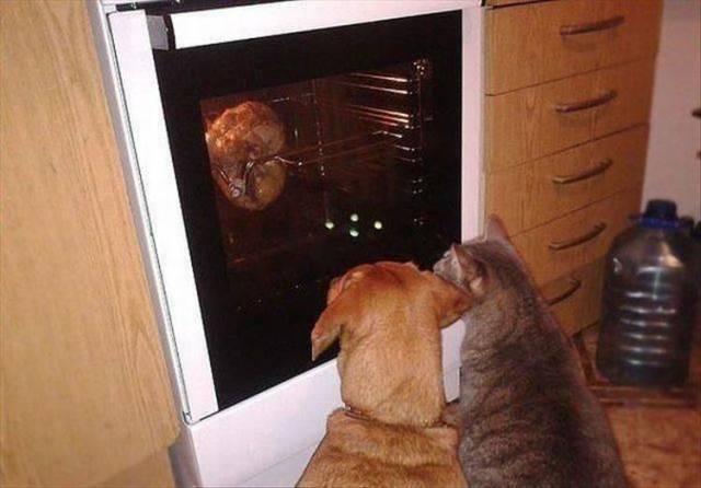 daily picdump 94 pics 2.html - 94 HD Photos | Premium Gallery 2018