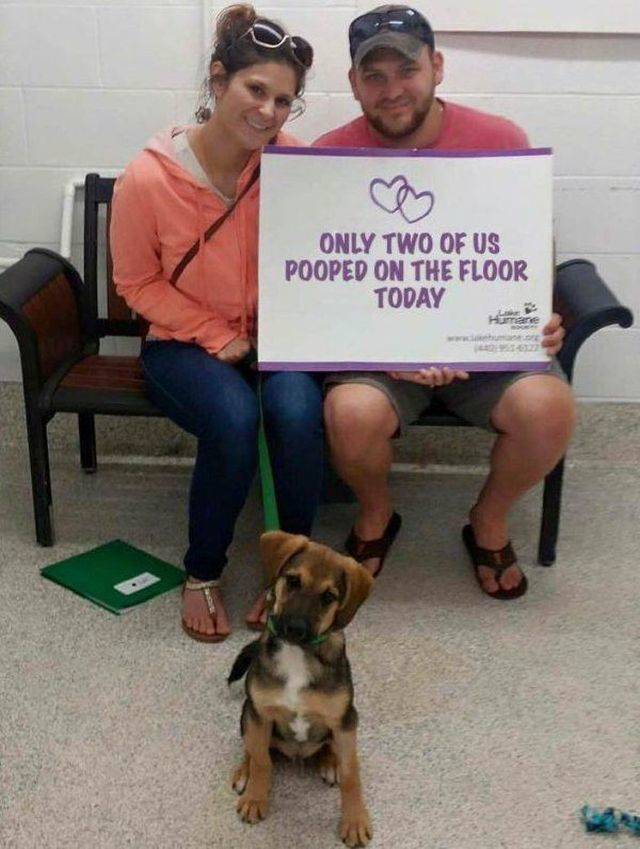 daily picdump 94 pics 2.html - 94 HD Photos | Premium Gallery 2018