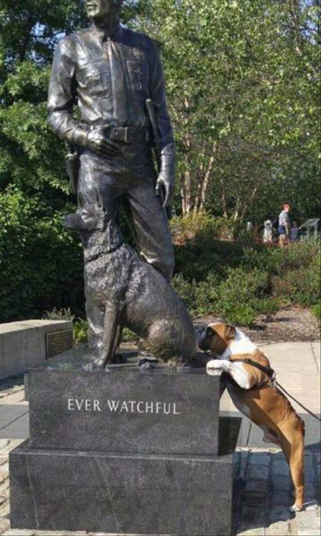 daily picdump 94 pics 2.html - 94 HD Photos | Premium Gallery 2018