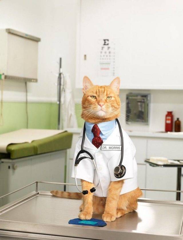 daily picdump 94 pics 2.html - 94 HD Photos | Premium Gallery 2018