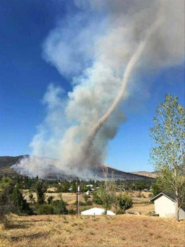 daily picdump 94 pics 2.html - 94 HD Photos | Premium Gallery 2018