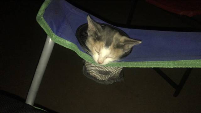 morning picdump 50 pics 39.html - 50 HD Photos | Premium Gallery 2018