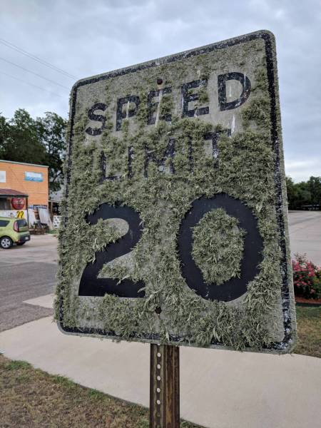 morning picdump 50 pics 39.html - 50 HD Photos | Premium Gallery 2018