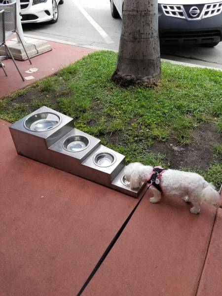 morning picdump 50 pics 39.html - 50 HD Photos | Premium Gallery 2018