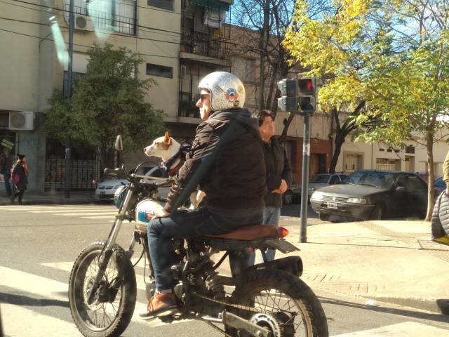 morning picdump 50 pics 39.html - 50 HD Photos | Premium Gallery 2018