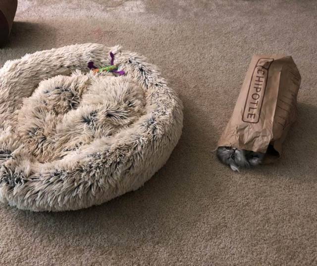 When Your Fail Is Beyond The Point Of Recovery