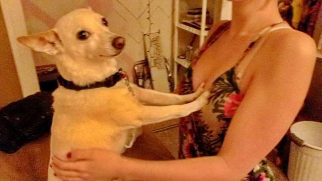 daily picdump 96 pics 46.html - 96 HD Photos | Premium Gallery 2018