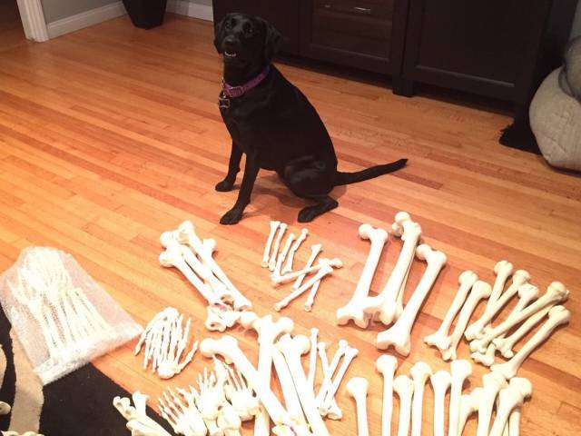 daily picdump 96 pics 46.html - 96 HD Photos | Premium Gallery 2018