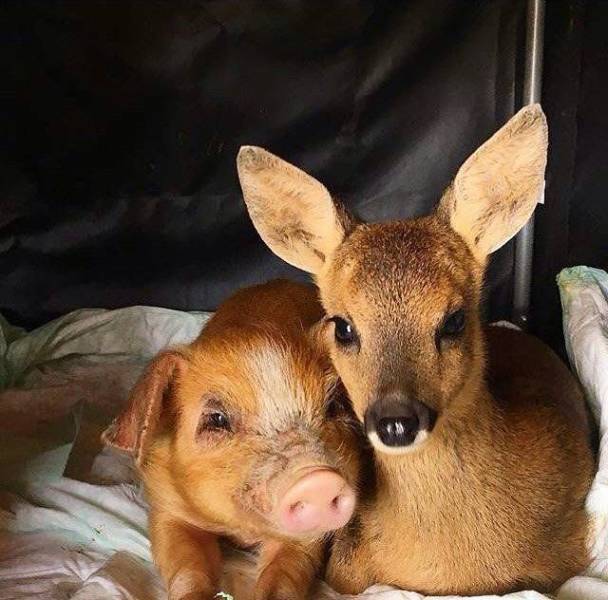 daily picdump 96 pics 46.html - 96 HD Photos | Premium Gallery 2018