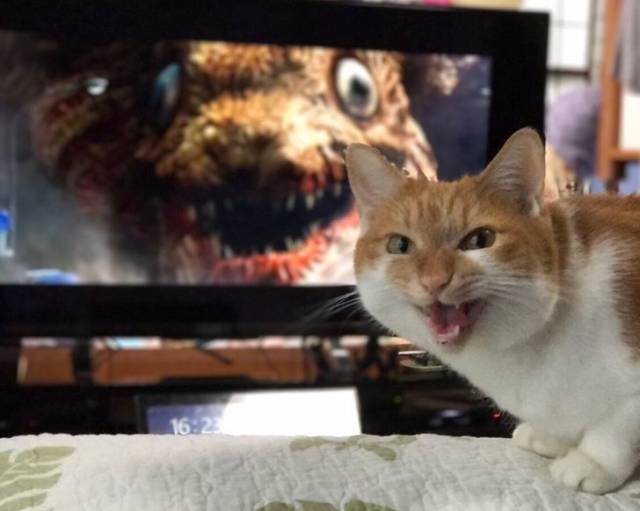 daily picdump 96 pics 46.html - 96 HD Photos | Premium Gallery 2018