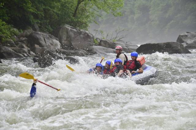 daily picdump 96 pics 46.html - 96 HD Photos | Premium Gallery 2018