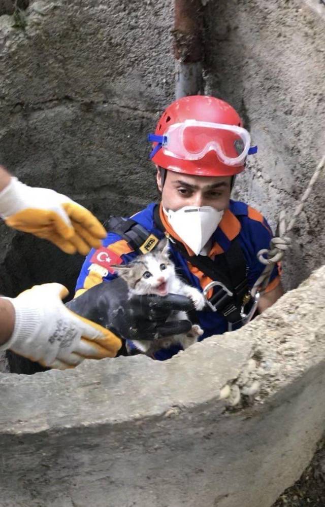 daily picdump 96 pics 46.html - 96 HD Photos | Premium Gallery 2018