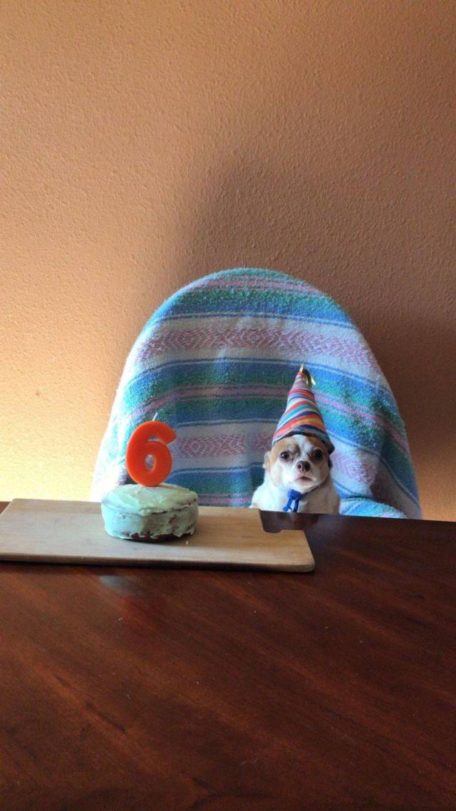 daily picdump 96 pics 46.html - 96 HD Photos | Premium Gallery 2018