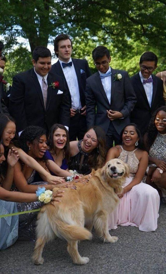 daily picdump 96 pics 46.html - 96 HD Photos | Premium Gallery 2018