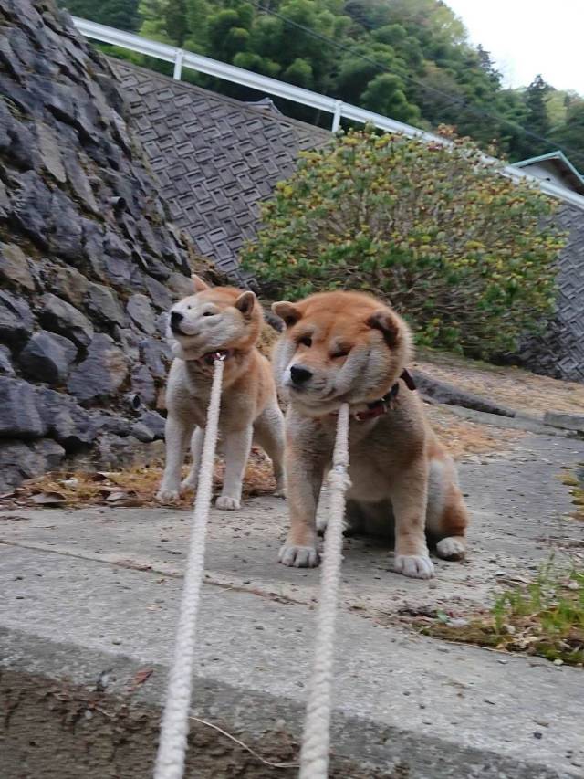 daily picdump 96 pics 46.html - 96 HD Photos | Premium Gallery 2018